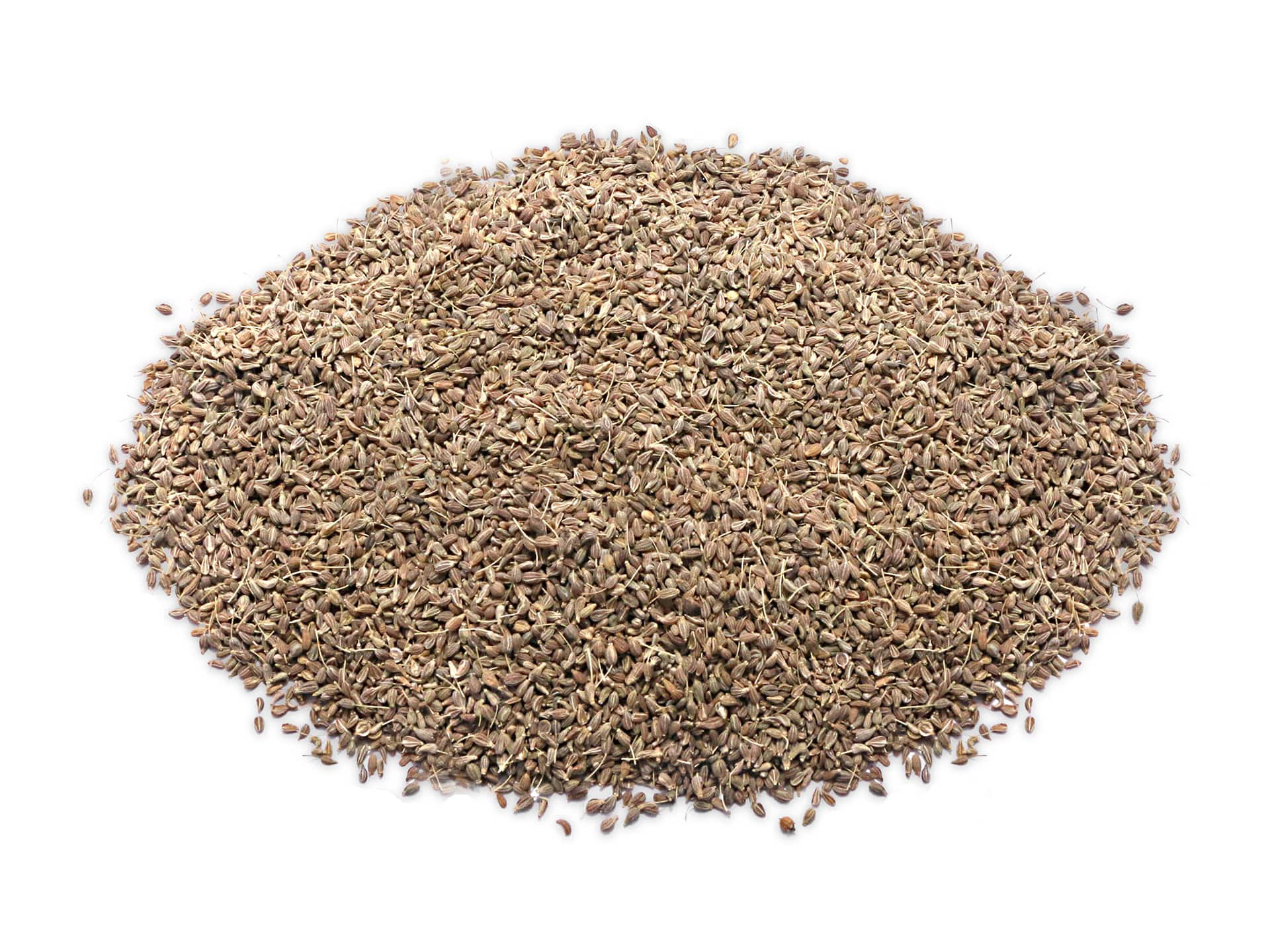 Aniseed