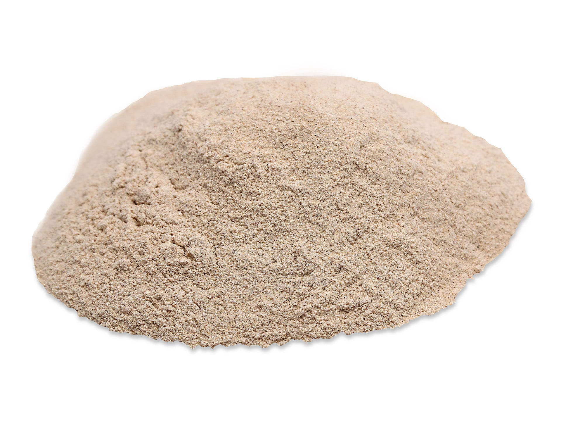 Onion Powder
