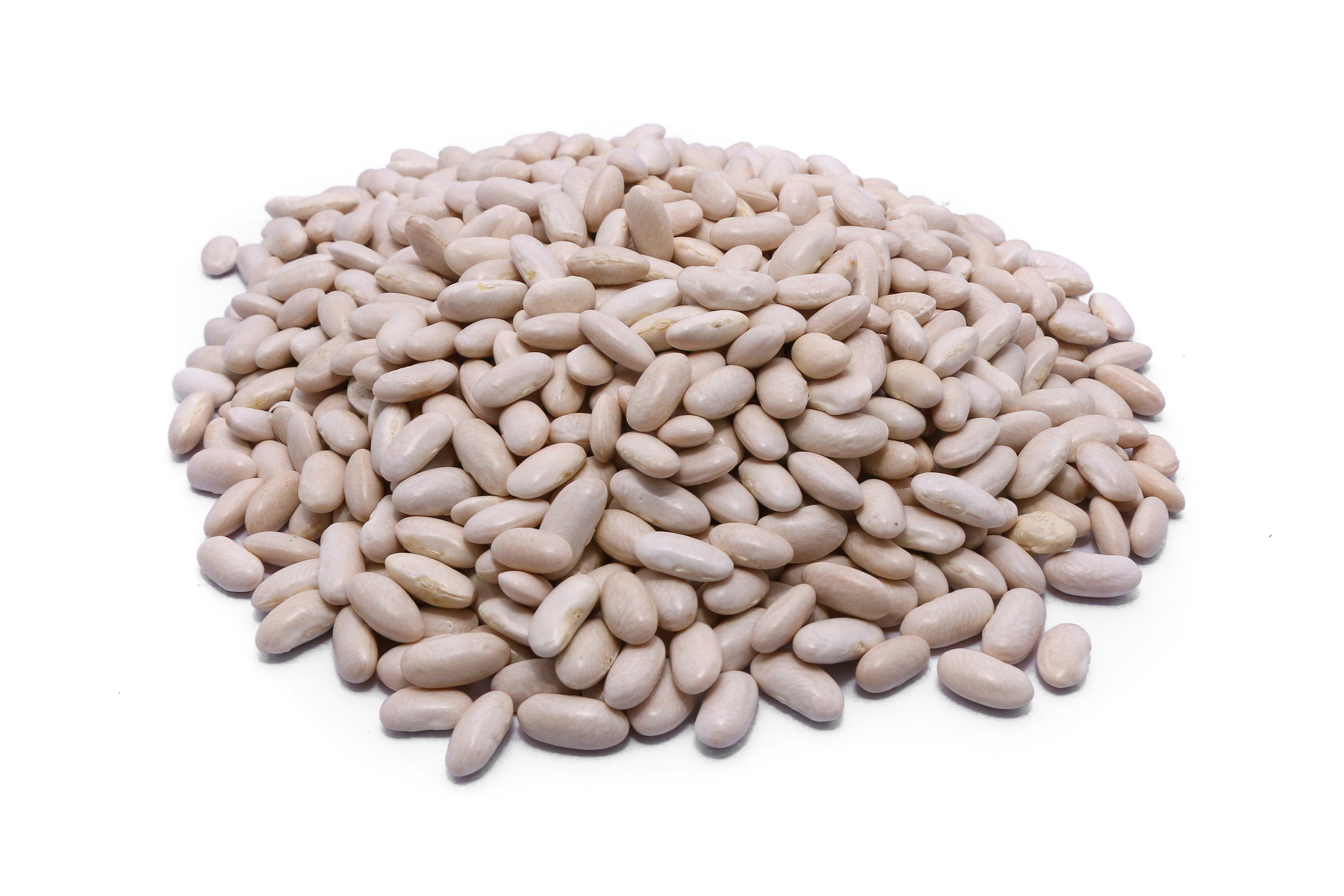 WHITE KIDNEY BEANS