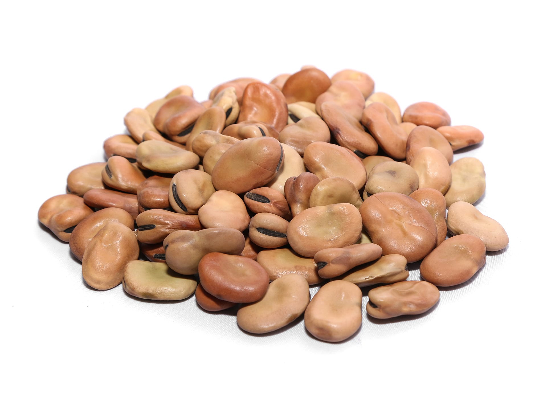 Whole Broad Beans